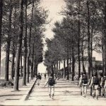 45200 Montargis - Avenue d'Antibes vers 1900