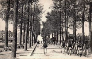 45200 Montargis - Avenue d'Antibes vers 1900